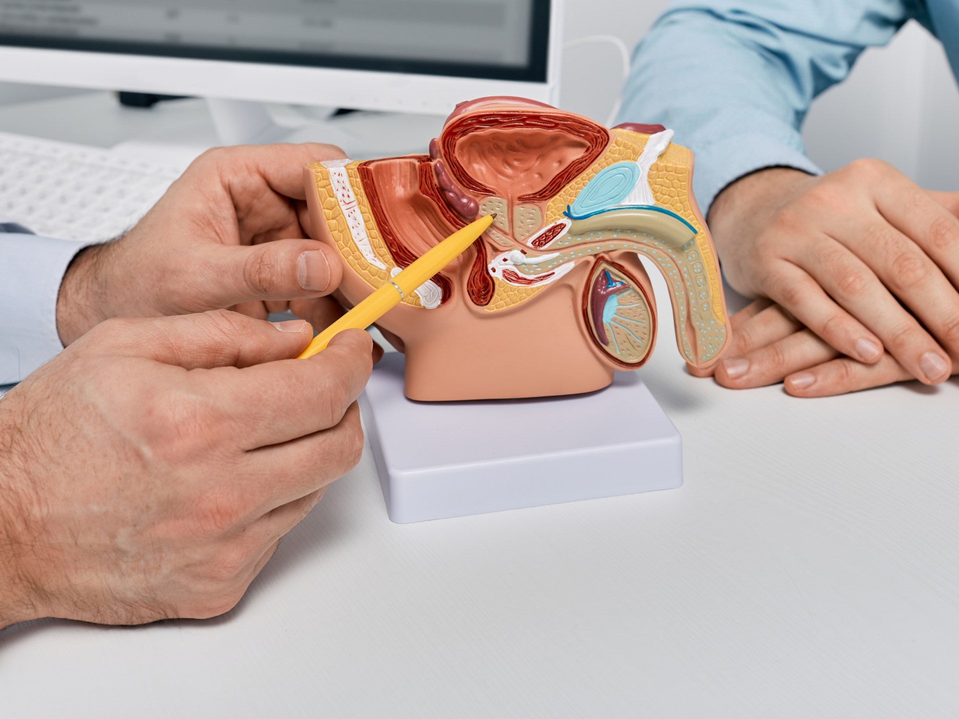 Golden tips to maintain prostate health