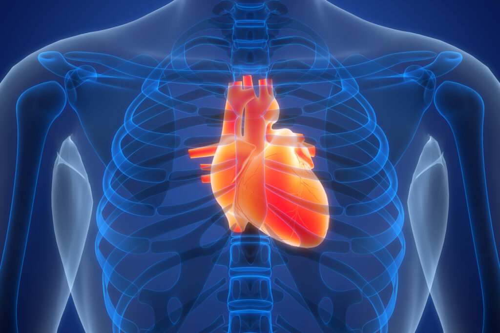 Hamad Medical Corporation in Qatar applies the latest global technology to treat atrial fibrillation for the first time in the Middle East