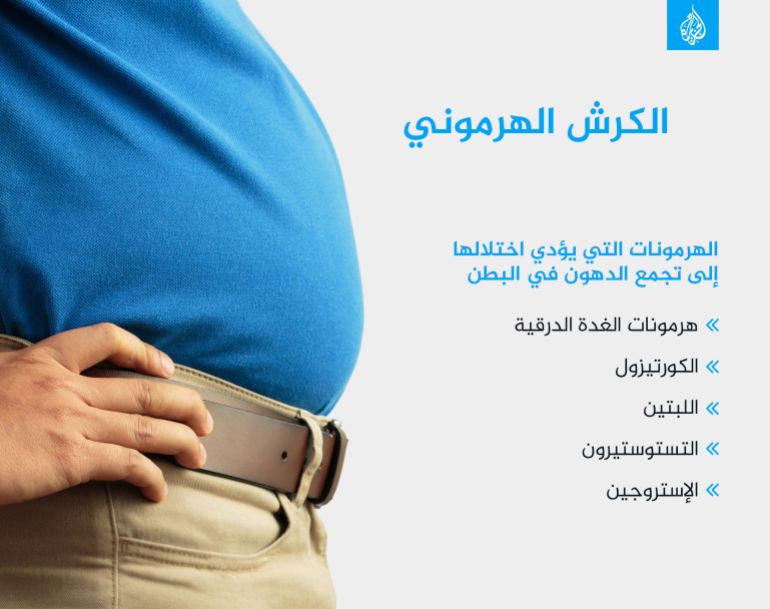 Hormonal rumen Abdominal fat rumen Hormonal rumen hormones Hormones whose imbalance leads to the accumulation of fat in the abdomen Thyroid hormones Cortisol Leptin Testosterone Estrogen