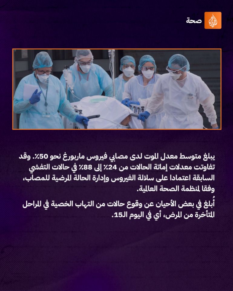 Infographic (Marburg virus)