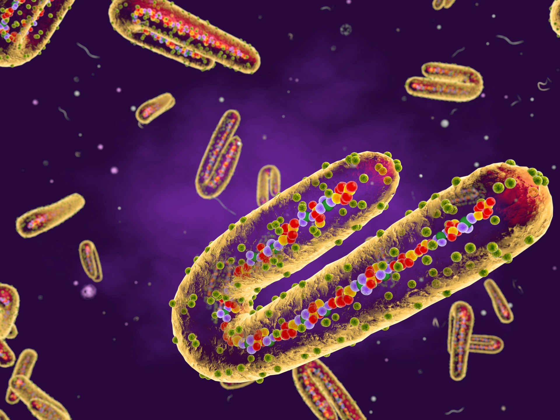 Marburg virus appears for the first time in Ethiopia amid intense efforts to contain it