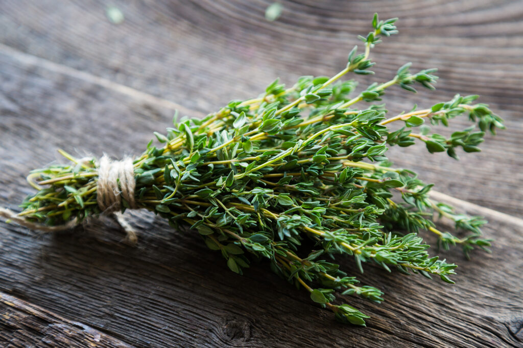 Thyme...your protective shield from diseases