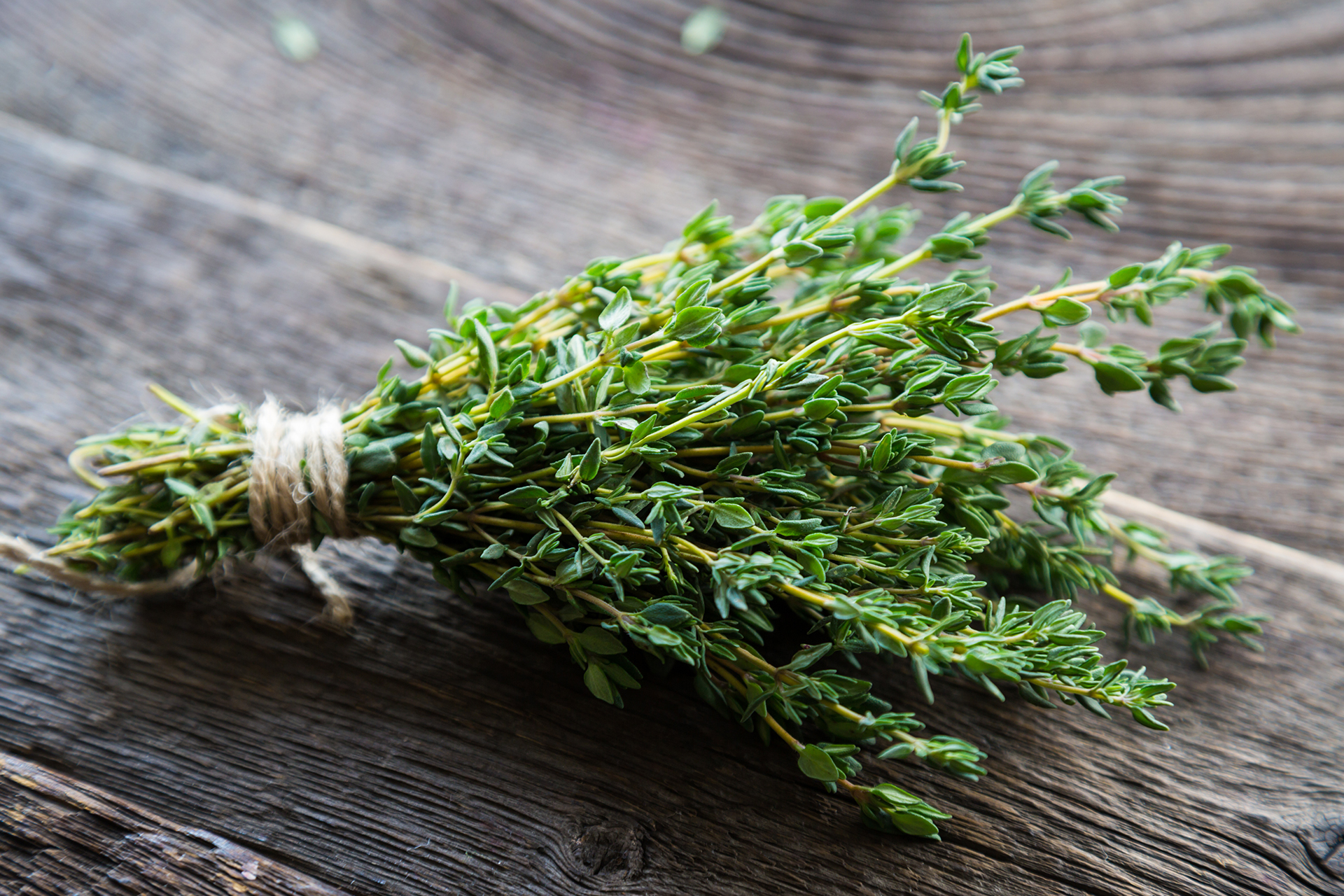 Thyme...your protective shield from diseases