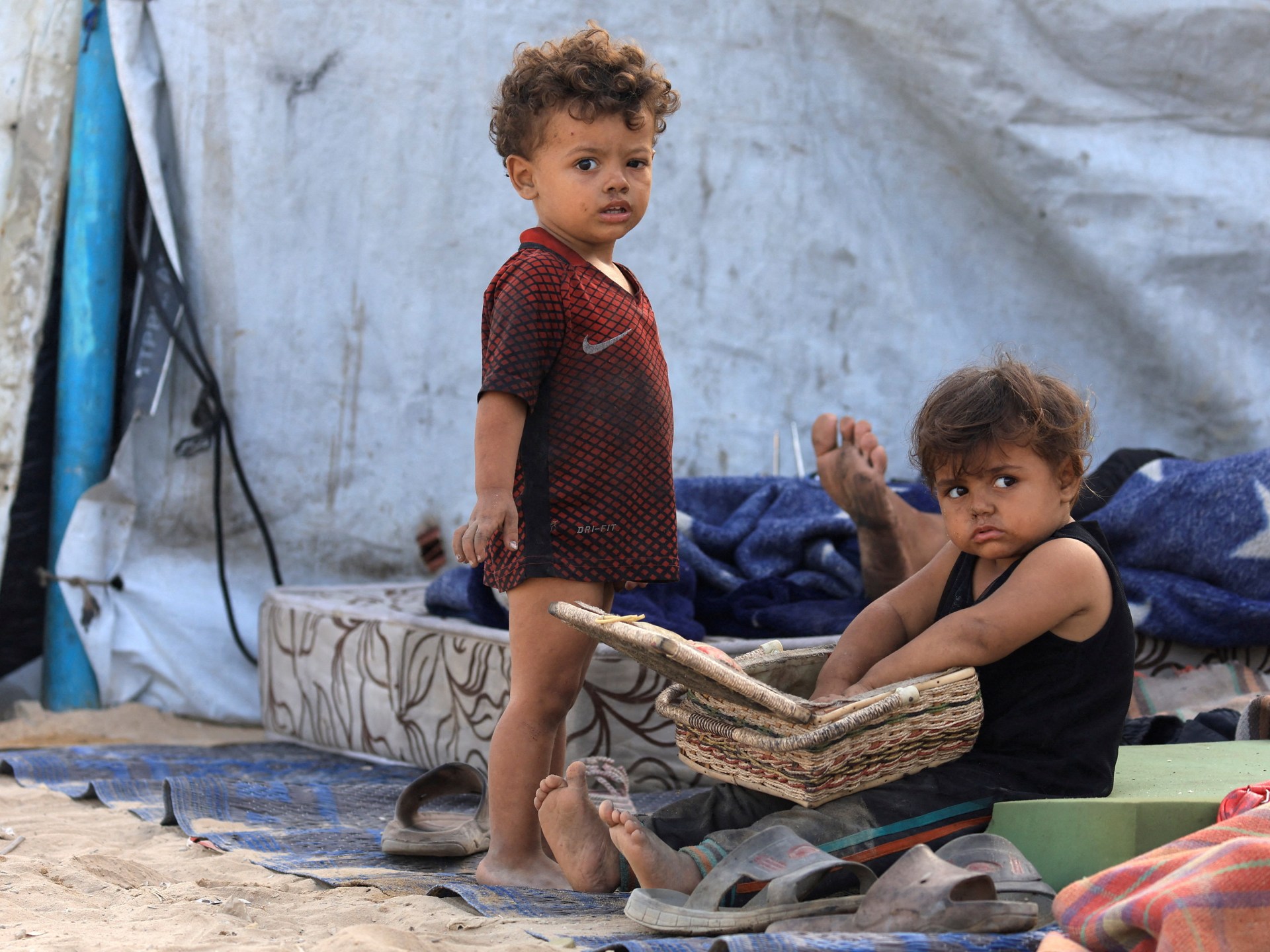 "Compensatory vaccination campaign"..Gaza begins a battle for survival after a healthy war of extermination