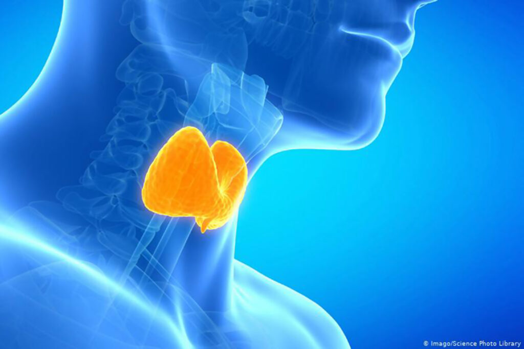 Iodine deficiency: its symptoms and risks