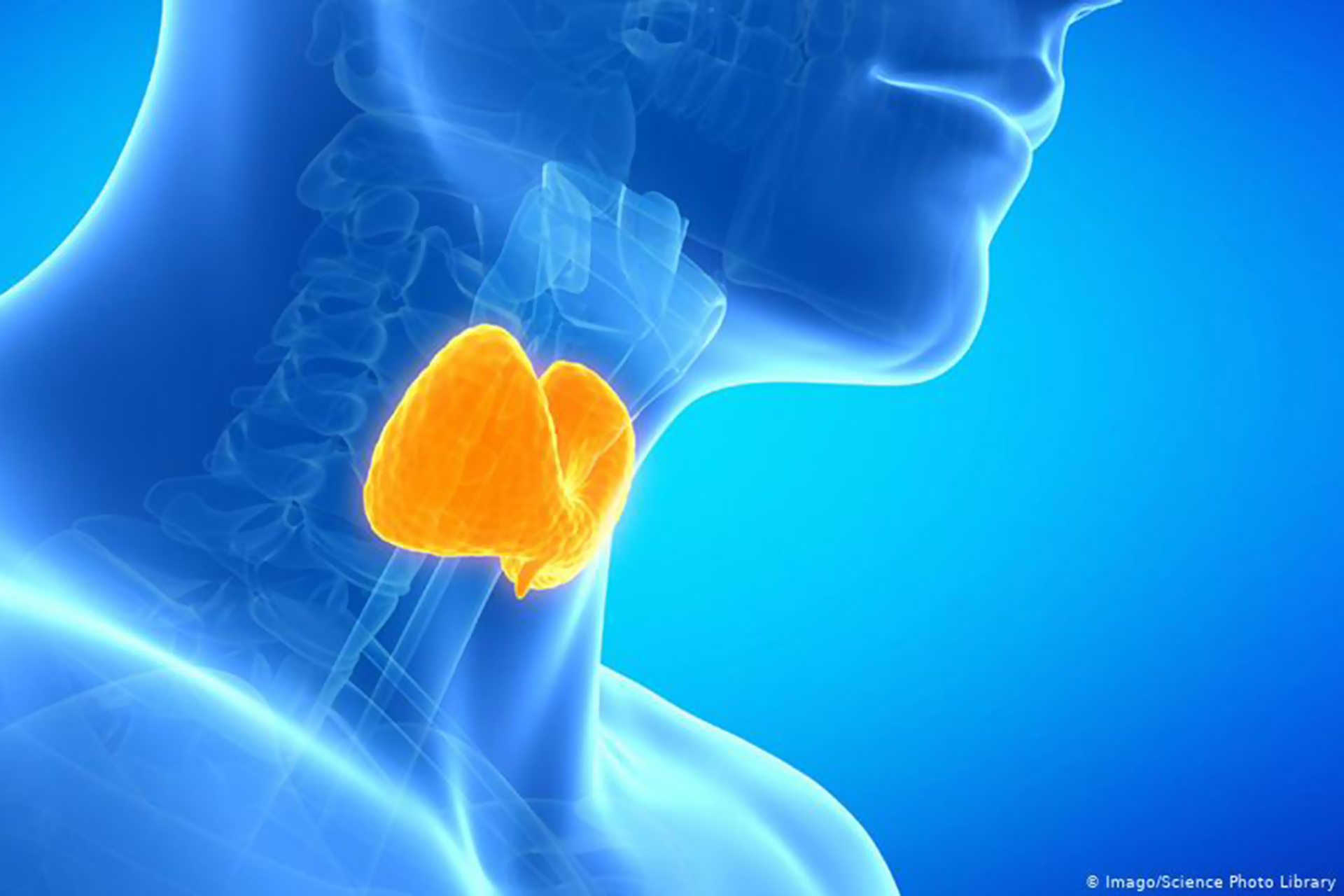 Iodine deficiency: its symptoms and risks