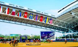 Through two emergency flights in accordance with the highest safety standards.. “Doha Equestrian Tours” succeeds in transporting 147 horses to Europe