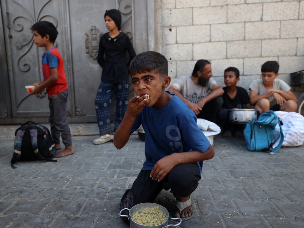 Fetuses under siege.. How does malnutrition begin before birth in Gaza?
