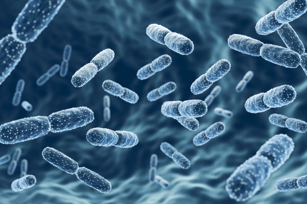 How to rearrange Ramadan fasting "Kingdom of bacteria" In your intestines?