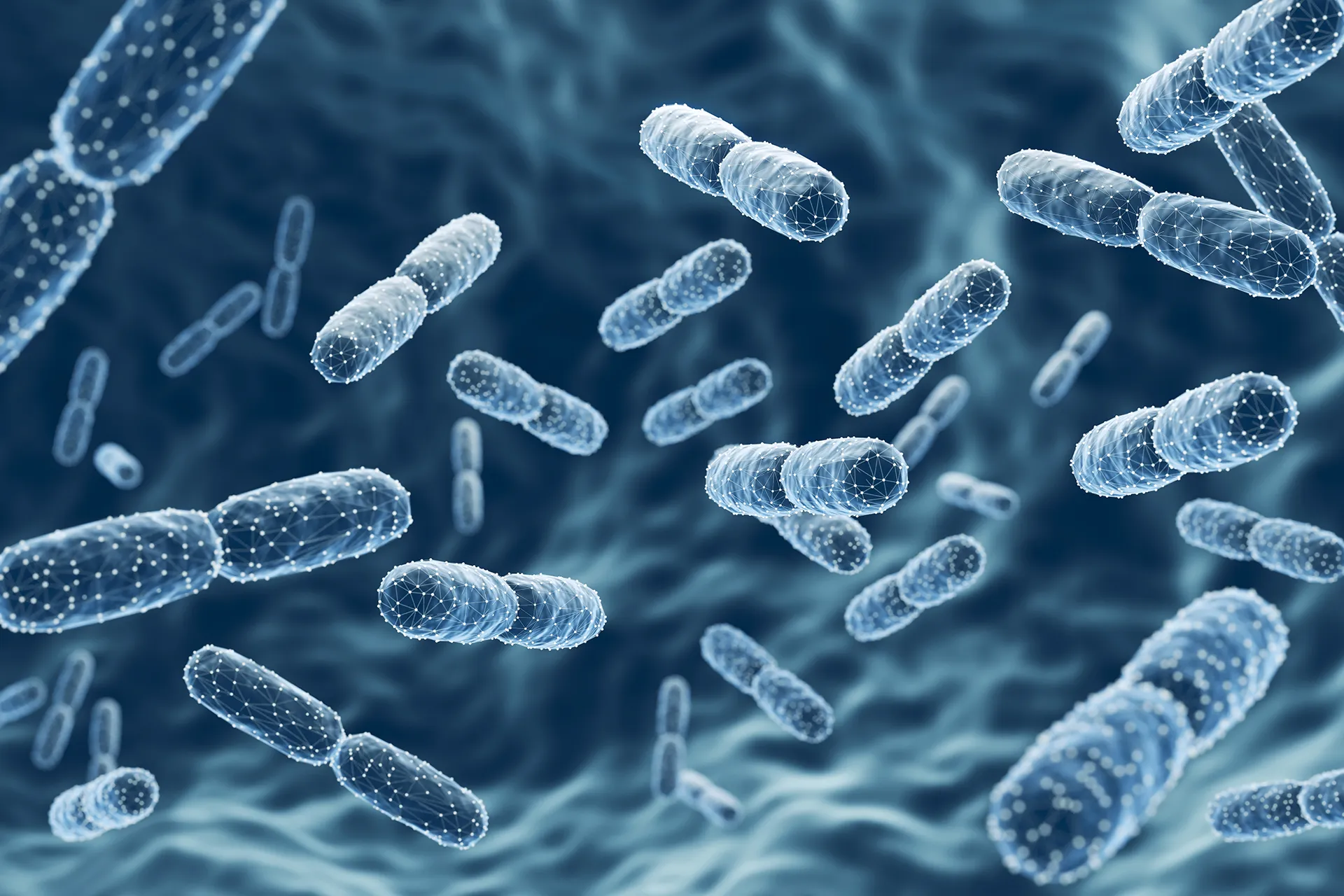 How to rearrange Ramadan fasting "Kingdom of bacteria" In your intestines?