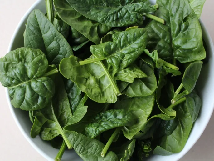 Spinach is the key to weight loss and fitness. As it contains the substance "thylakoid", which slows down the digestion process, which increases the feeling of fullness and reduces severe hunger attacks. (Publication is free for clients of the German News Agency "dpa". The image may only be used with the aforementioned text and provided that its source is indicated.) Lens: dpa