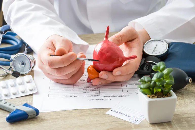 At doctors appointment physician shows to patient shape of urine bladder with focus on hand with organ. Scene explaining patient causes and localization by shidlovski @Adobe Stock