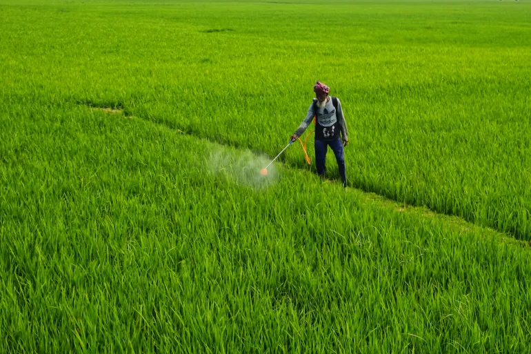 Man Working on a Field