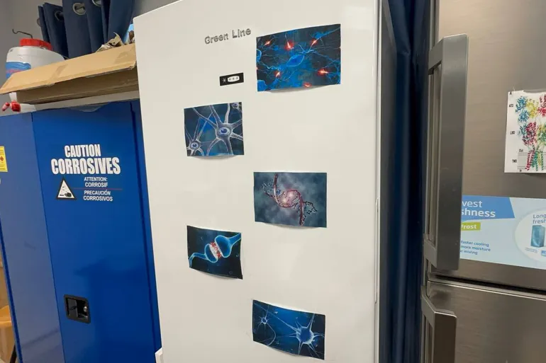 / Fatima Mahmoud Al-Jazeera Net Nablus, Palestine An-Najah National University / Research at the center is focused on one type of cell and studying each cell separately, which gives more accurate and focused results.