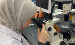 In a small laboratory in the West Bank, Susana Badir makes a scientific impact that transcends borders