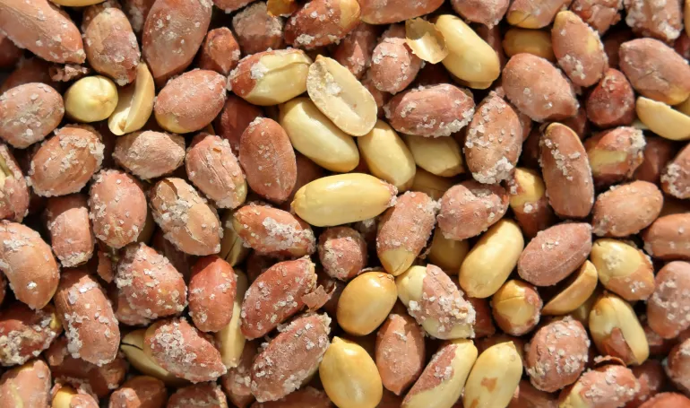 A detailed close-up photograph of salted peanuts with shells, showing casing texture.