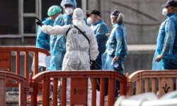 The World Health Organization is keeping an assessment "Hanta" Low risk and Canada confirms infection