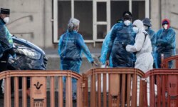Latest developments in Hantavirus… Quarantine in Australia and Argentina are looking for… "Status zero"