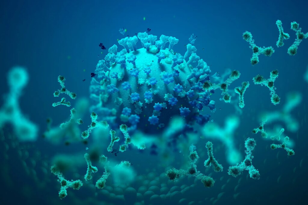 A scientific discovery explains the relationship between immune diseases and lymphoma