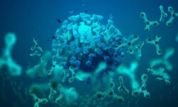 A scientific discovery explains the relationship between immune diseases and lymphoma