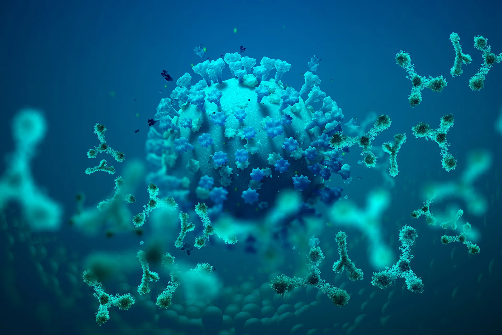 A scientific discovery explains the relationship between immune diseases and lymphoma