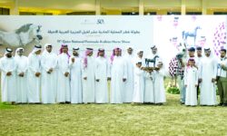 An exciting conclusion to the Qatar Championship for Purebred Arabian Horses