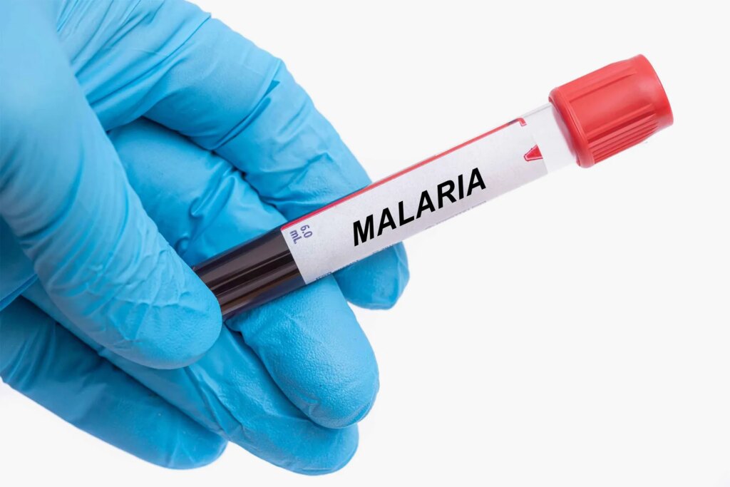 Who protects rural Zimbabwe from malaria after America abandoned it and was besieged by rain?