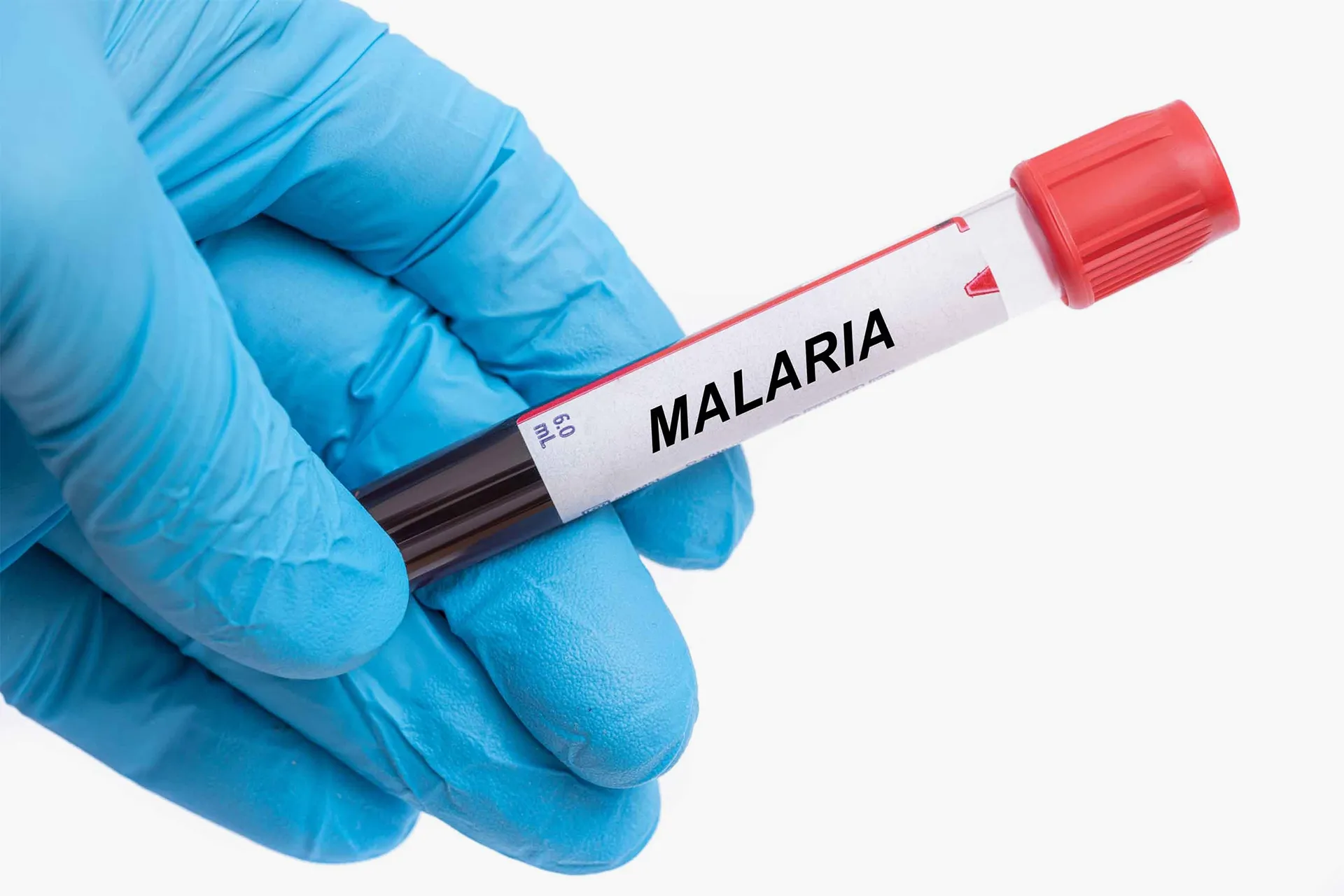 Who protects rural Zimbabwe from malaria after America abandoned it and was besieged by rain?