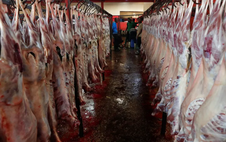 There is no harm in eating lamb meat or fattah, provided that the quantities are taken into account and that it is cooked in a healthy way. (Reuters)