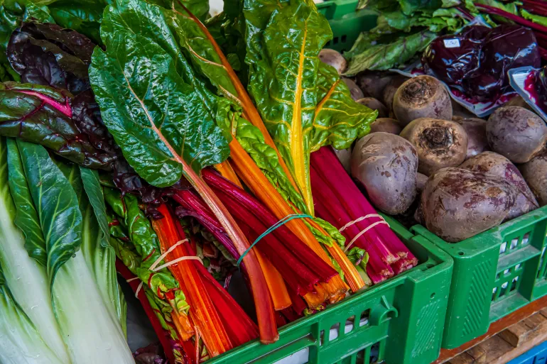 There is a noticeable lack of studies that have addressed the direct relationship of leafy vegetables with digestive health