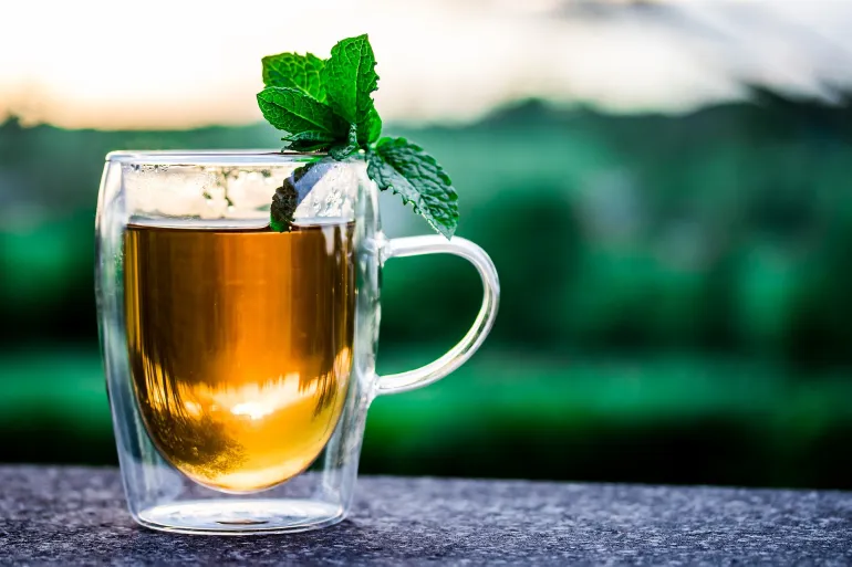 Tea plants, in particular, are characterized by the presence of unique amino acids that contribute to giving the tea drink a distinctive taste and nutritional value (Bixaby)