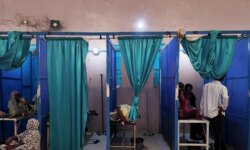Dengue fever is sweeping Sudanese Damazin… Thousands of infections and efforts to contain the outbreak
