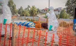 The virus of rapid death.. How did Ebola force the world to change its way of thinking?