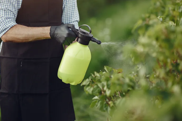 A study has linked exposure to organophosphate pesticides to an increased risk of autoimmune diseases. (pixels)