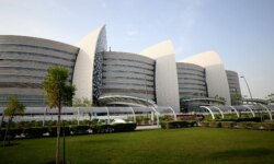 Umbilical cord blood…a therapeutic wealth in Qatar