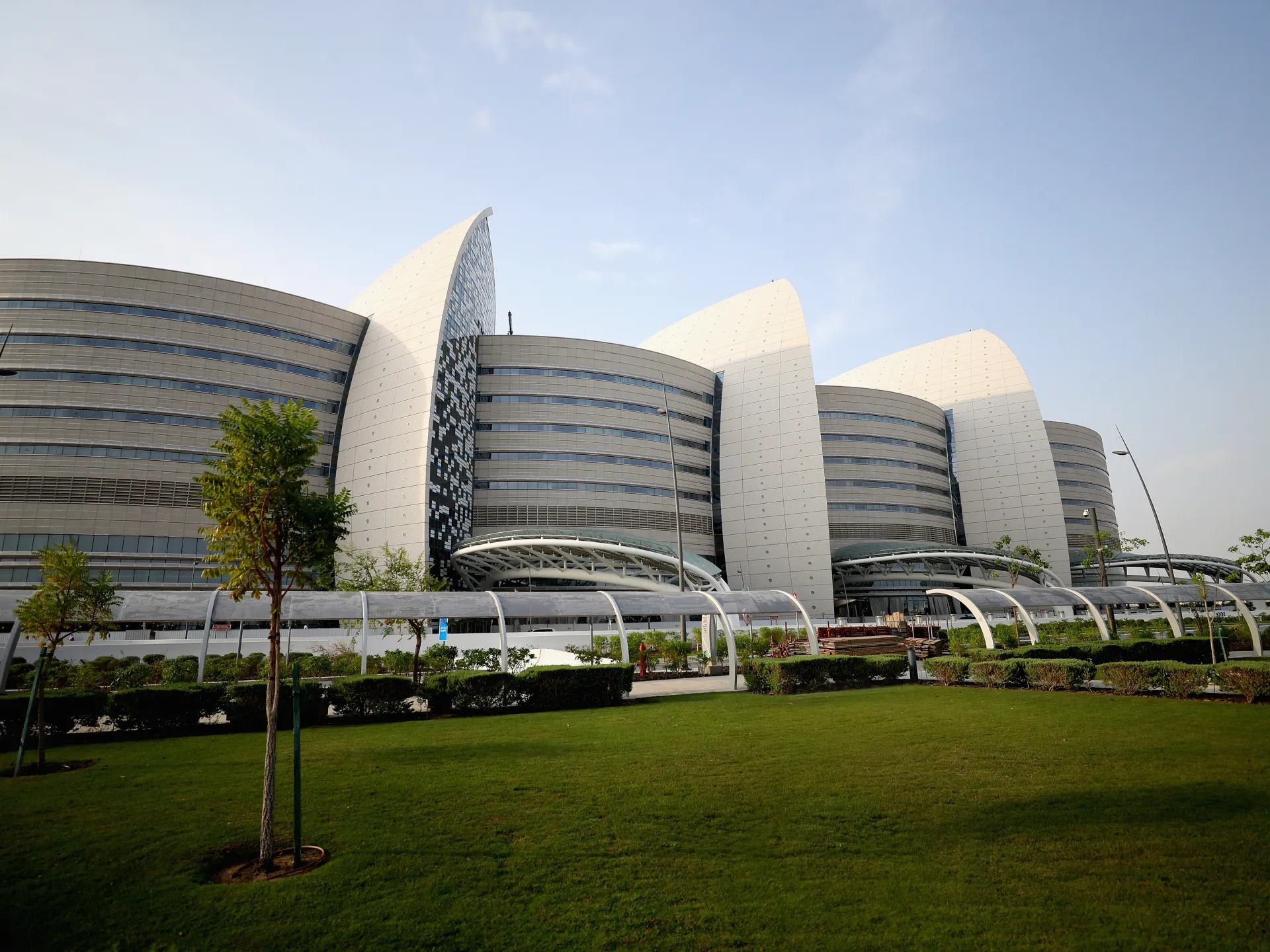 Umbilical cord blood...a therapeutic wealth in Qatar