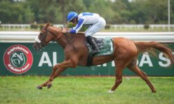Al-Mahra "Luxury" She wins the first category Liwa International Stakes title
