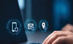 “Customs” requires companies registered in “Al-Nadeeb” to update data