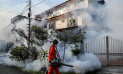 Dengue fever is rising at alarming numbers in Malaysia
