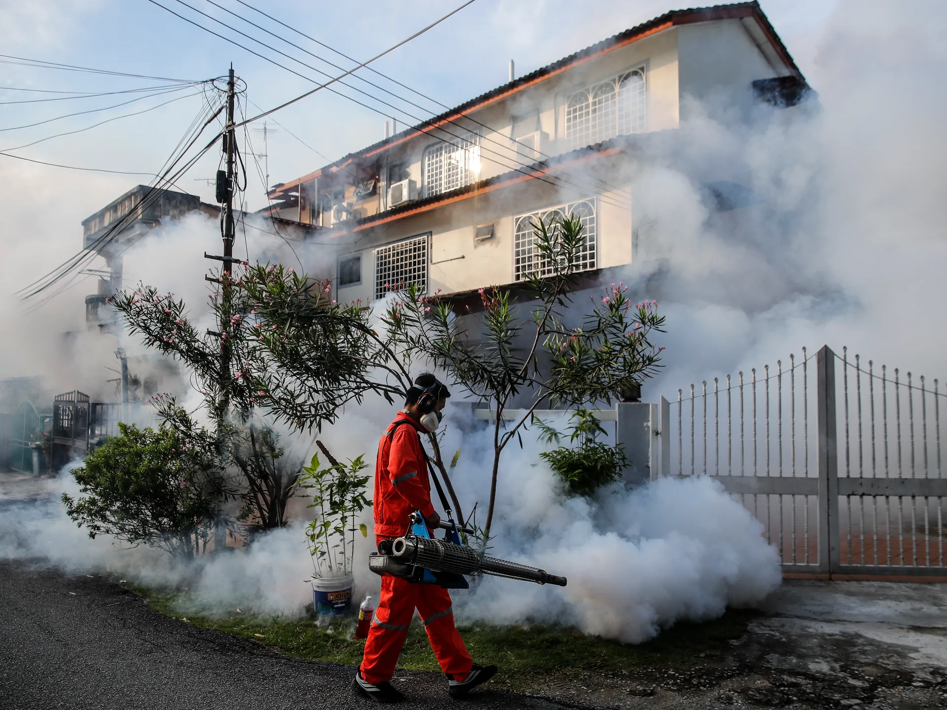 Dengue fever is rising at alarming numbers in Malaysia