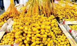The 11th local dates festival attracts more than 19 thousand visitors within 3 days