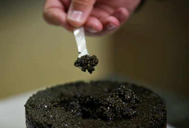 In this image taken on Thursday, June 10, 2016, Agro Ittica Lombarda company General Director Lelio Mondella, shows how to taste Calvisius caviar, in Calvisano. (AP Photo/Luca Bruno)