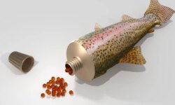 Does caviar rejuvenate the skin?