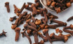 Eugenol…the secret of the medicinal power inherent in cloves