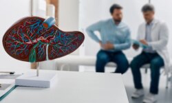 “Arab microbe”… a secret in the intestines that may revolutionize the treatment of the liver