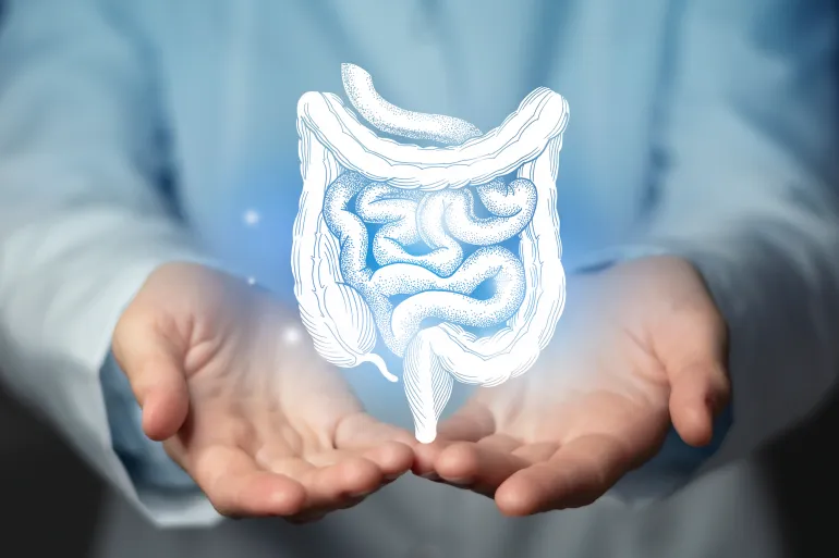 Intestine issues medical concept. Photo of female doctor, empty space. Source: AdobeStock