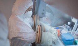 5 questions and 3 contradictions.. What does the story hide? "Russian plague"?