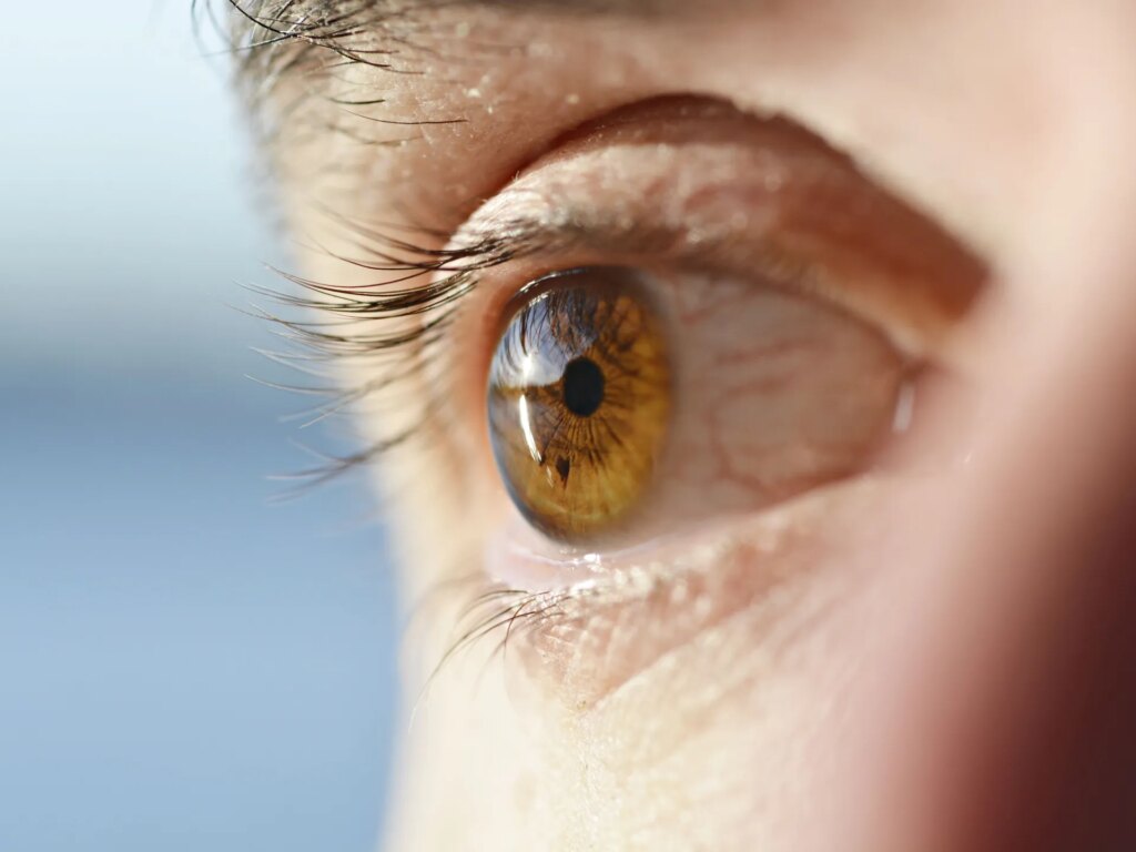 Your eye may detect a heart disorder years before it is diagnosed