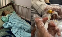 4 deaths within a month… meningitis is killing the children of Gaza