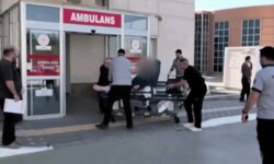 A mysterious disease infects thousands in northern Türkiye, and the platforms ask: What is the source of the epidemic?